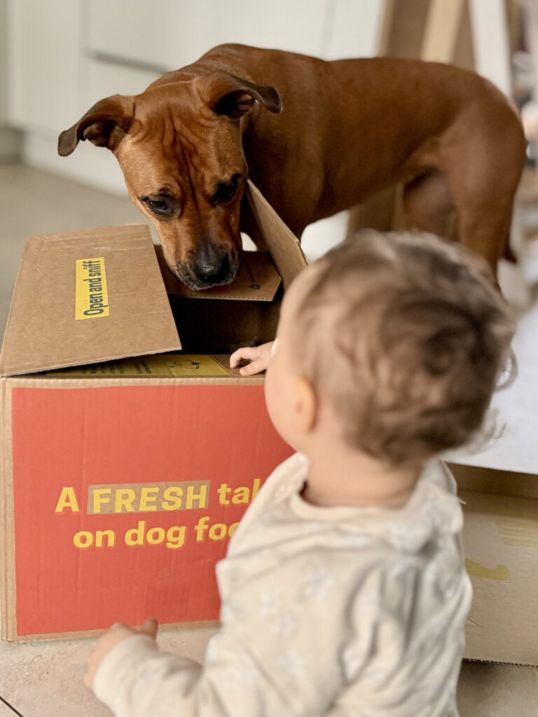 June und unser Kleinkind öffnen die frische Butternut Box – Hundefutter Trends 2026